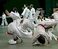 068687_49e9003b93c6470c950c019de7fcf4e7~mv2